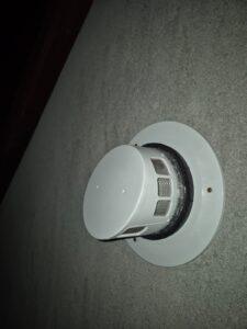 WhatsApp Image 2026-01-16 at 17.07.35